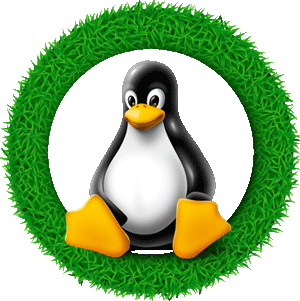Linux VPS Hosting Pakistan